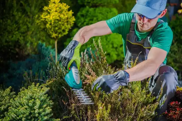 landscaping services Buzzards Bay